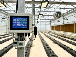 智慧农业新基建：工控一体机在温室大棚与畜牧监控中的实际落地